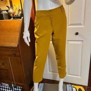 Dorothy Perkins Golden Yellow Trousers